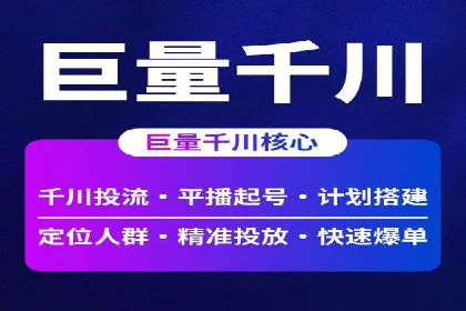 实战解析：SEM网络推广成功案例分享